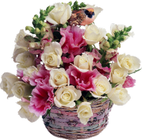a beautiful basket of pink and white roses